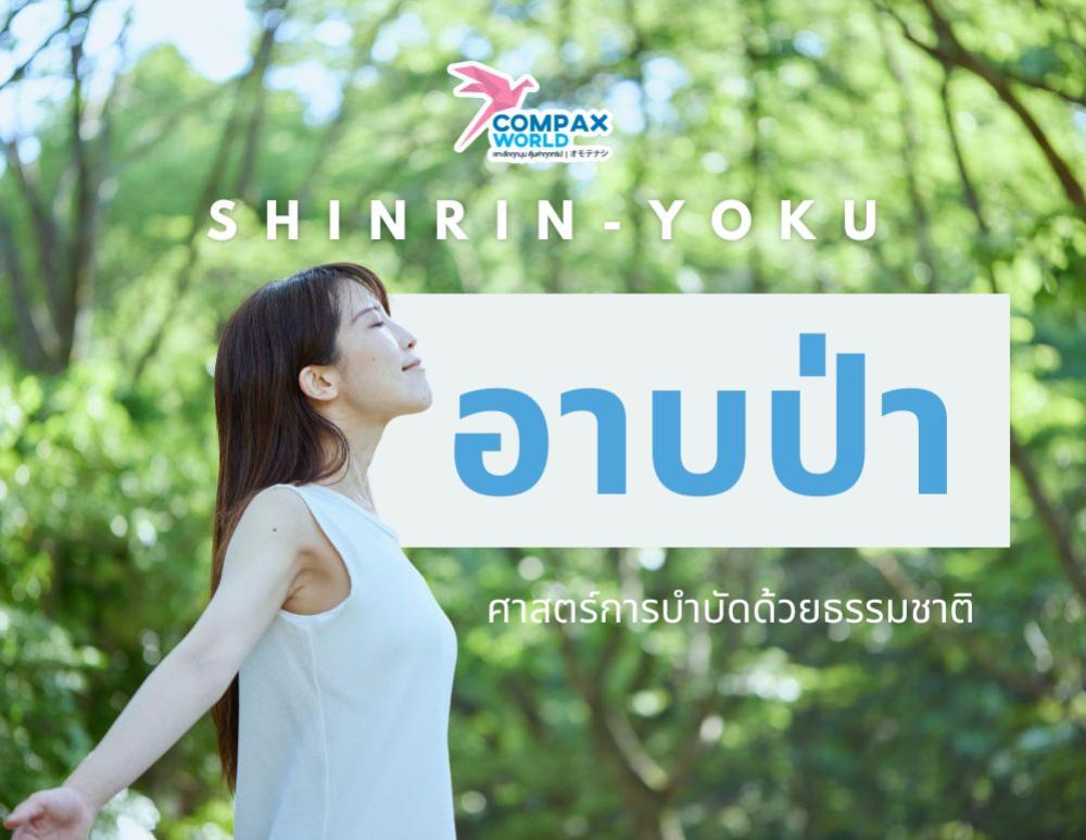 อาบป่า Shinrin-Yoku ศาสตร์ธรรมชาติแบบญี่ปุ่น | COMPAXWORLD