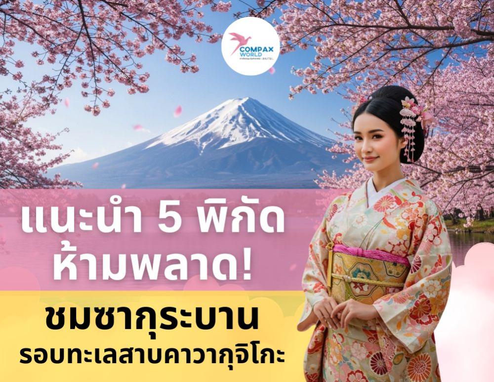 ชมซากุระบานที่ญี่ปุ่น แนะนำ 5 พิกัดห้ามพลาดรอบทะเลสาบคาวากุจิโกะ | COMPAXWORLD