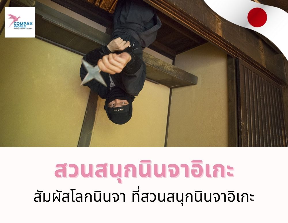 ทัวร์ญี่ปุ่น เที่ยวญี่ปุ่น โปรแกรมทัวร์ญี่ปุ่น