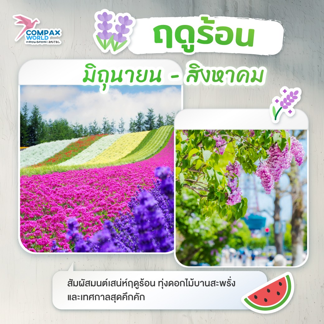 ทัวร์ญี่ปุ่น เที่ยวญี่ปุ่น โปรแกรมทัวร์ญี่ปุ่น