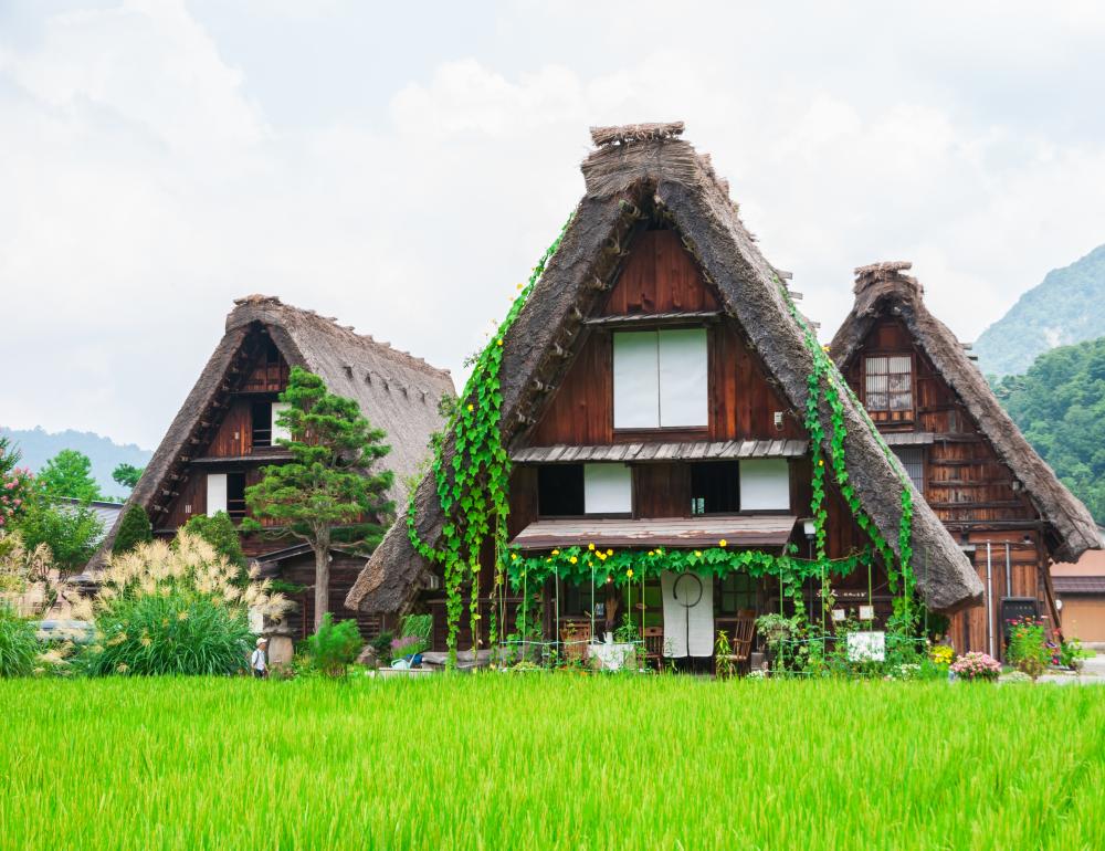 ทัวร์ญี่ปุ่น KAMIKOCHI & SHIRAKAWAGO | COMPAXWORLD