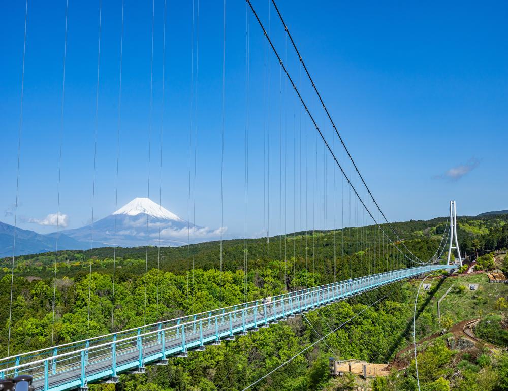 ทัวร์ญี่ปุ่น LAKE ASHI (FUJI) & KAMAKURA | COMPAXWORLD