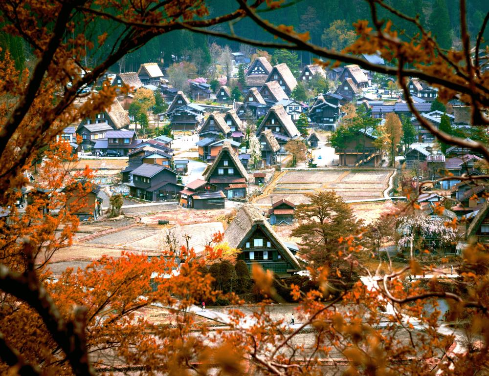 กรุ๊ปส่วนตัว  Shirakawago & Nabana no sato | COMPAXWORLD