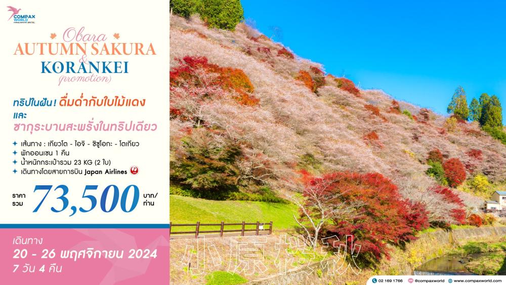 ทัวร์ญี่ปุ่น OBARA AUTUMN SAKURA & KORANKEI (PROMOTION) | COMPAXWORLD